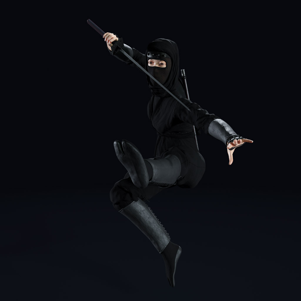 Ninja Rin Hatsu preview image 7